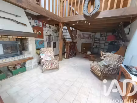 vente maison 10 pièces 234 m² ternay (41800)