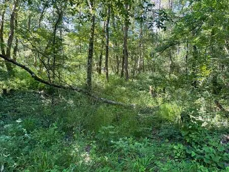 vente terrain 10988 m² montrichard val de cher (41400)