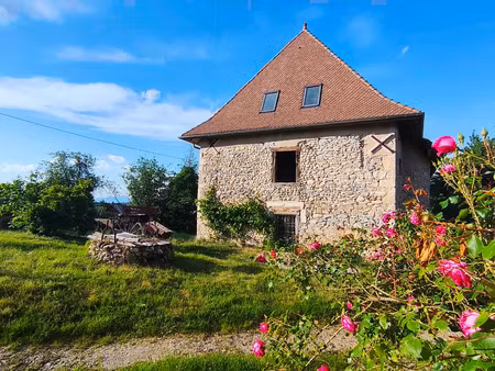 vente immeuble 390 m² saint-jean-d’avelanne (38480)
