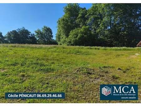 vente terrain 2469 m² saugnac-et-cambran (40180)