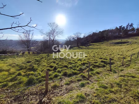 vente terrain 6632 m² cezay (42130)