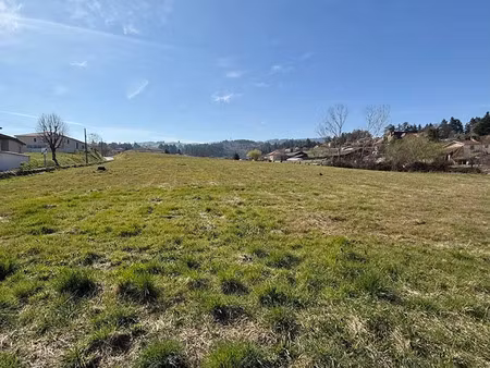 vente terrain 1718 m² saint-andré-d’apchon (42370)