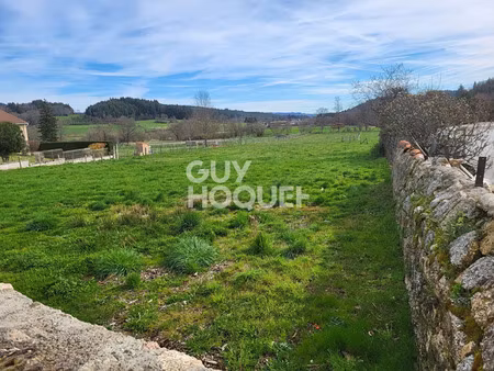 vente terrain 4685 m² noirétable (42440)