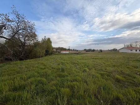 vente terrain 1568 m² montaut (40500)