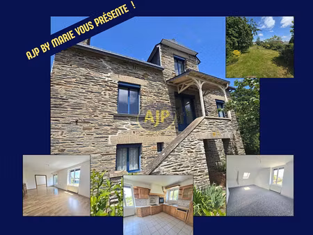 vente maison 9 pièces 200 m² guémené-penfao (44290)