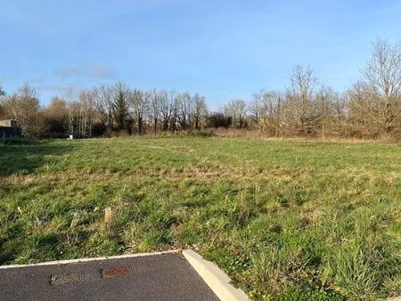 vente terrain 984 m² la marne (44270)