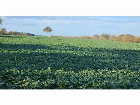 vente terrain 1322 m² pontchâteau (44160)
