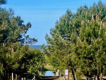 vente appartement 1 pièce 31 m² saint-brevin-les-pins (44250)