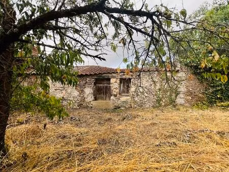 vente maison 2 pièces 40 m² saint-philbert-de-grand-lieu (44310)