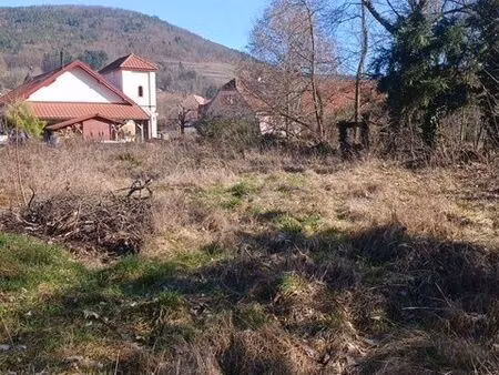 terrain 1775 m² buhl