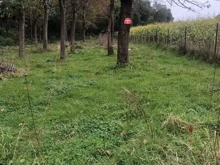 terrain 2000m2 agricole non constructible agriculture avec arbres 11000