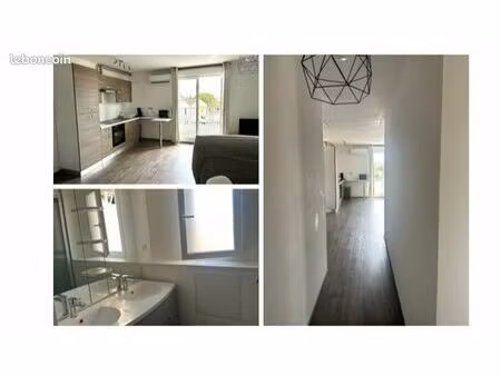 appartement t2 lumineux et climatisé avec terrasse sur narbonne (11100)