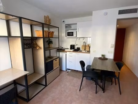 studio 1 pièce 19 m²