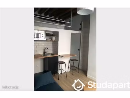 appartement 1 pièce 17 m²