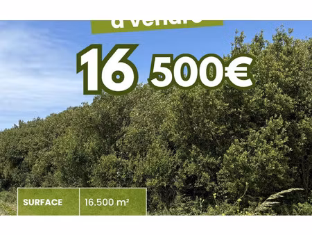 terrain lampaul-plouarzel m² t- à vendre  16 500 €