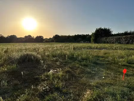 vente terrain 680 m² à chambourg-sur-indre (37310)  41 000 €