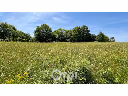 vente terrain 1100 m² à ambazac (87240)  46 000 €