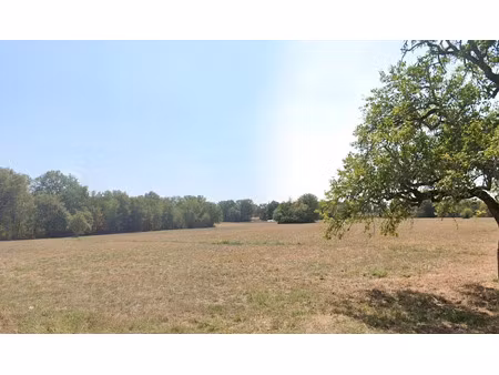vente terrain 1987 m² à domme (24250)  23 000 €