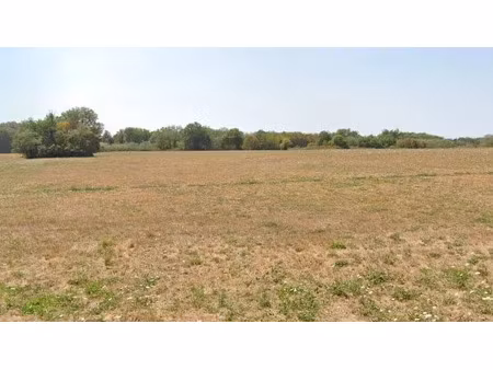 vente terrain 2043 m² à domme (24250)  23 000 €
