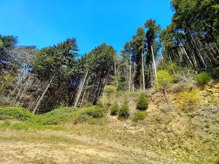 vente terrain 637922 m² à vieussan (34390)  50 000 €
