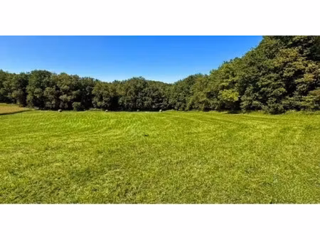 vente terrain 6866 m² à limeuil (24510)  66 000 €