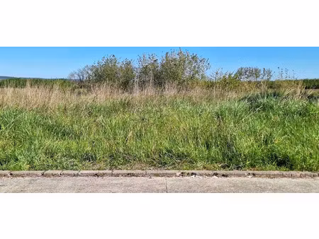 vente terrain 401 m² à saint-lys (31470)  80 000 €