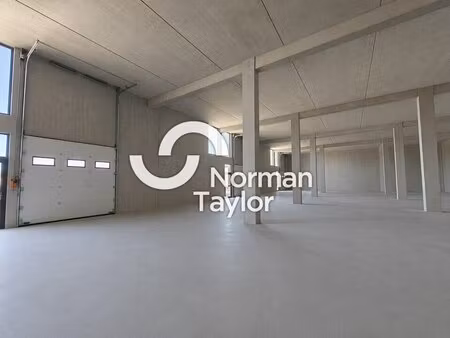location local d’activités biarritz 64200 253m²