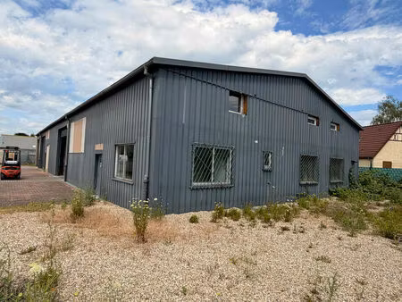 vente local d’activités illkirch graffenstaden 67400 700m²