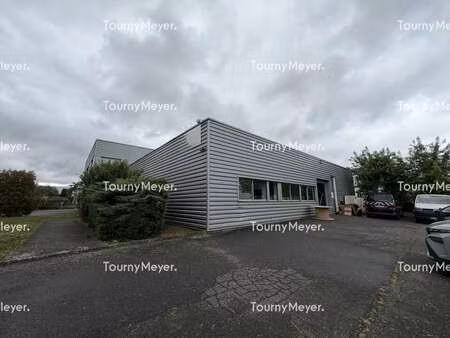 location local d’activités l union 31240 300m²