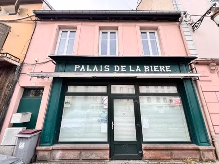 immeuble à vendre senones