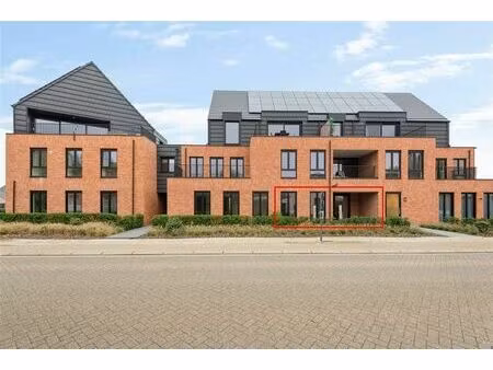 rez-de-chaussée à vendre à steenbergen 10 laakdal (rbw18551)