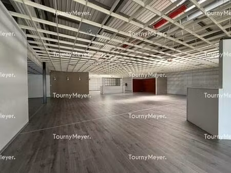 location commerce puygouzon 81990 580m²