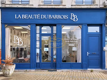 local commercial ou professionnel - centre-ville