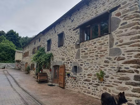 corps de ferme blesle 6 pièce(s) 200 m2