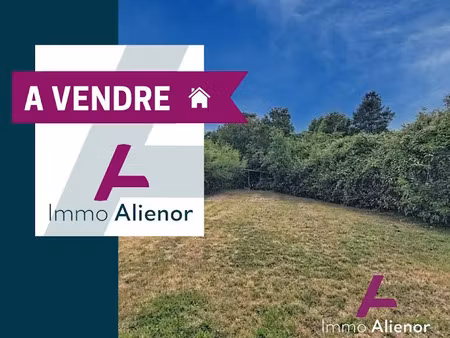 vente terrain à batir 660 m² à les clouzeaux (85430)  82 500 €