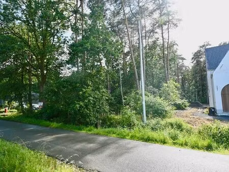 terrain à vendre à nijlen € 318.000 (lp6fn) - home 2000 | zimmo