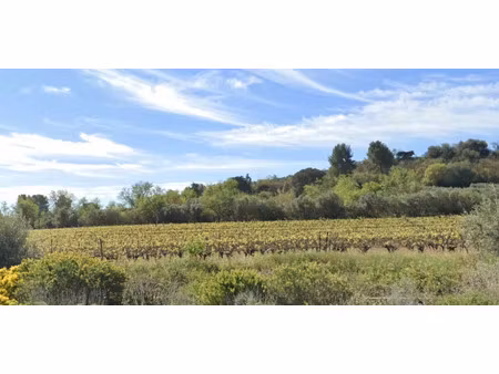 vente terrain 870 m² à ginestas (11120)  97 500 €