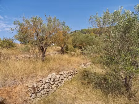 vente terrain 614 m² à lorgues (83510)  115 000 €