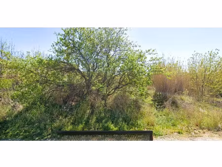 vente terrain 378 m² à pia (66380)  110 900 €