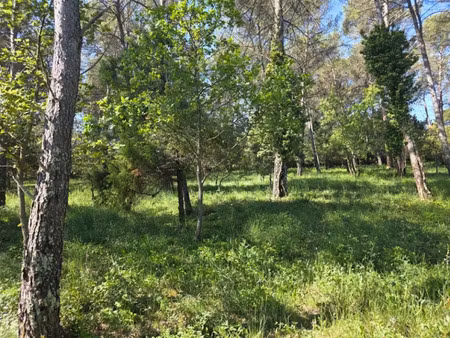 vente terrain 847 m² à garéoult (83136)  155 000 €