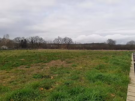 vente terrain 1000 m² à gratentour (31150)  160 000 €