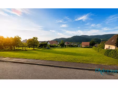 vente terrain 3334 m² à zimmerbach (68230)  470 000 €