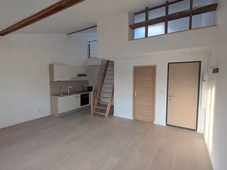 magnifique appartement rénové à neuf – style loft avec mezzanine – 50 m² – centre de chauf