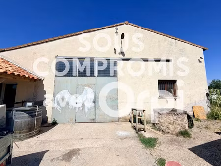 vente locaux professionnels à vauvert (30600)  nan €