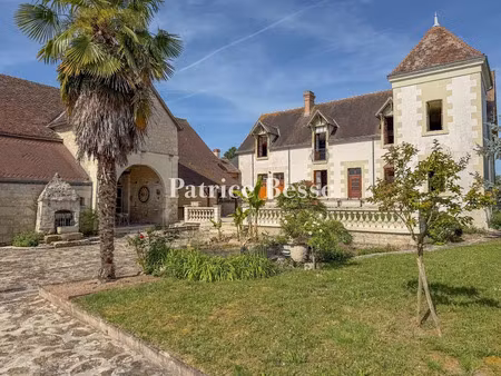 vente château 12 pièces 271 m² à la roche-posay (86270)  720 000 €