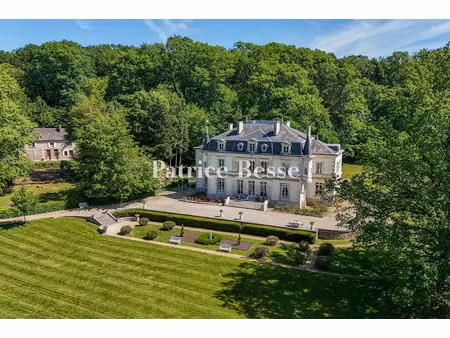 vente château 15 pièces 600 m² à quantilly (18110)  1 250 000 €