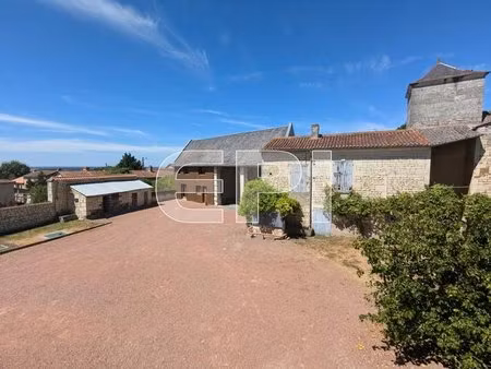 charmante propriété en pierre à curçay-sur-dive