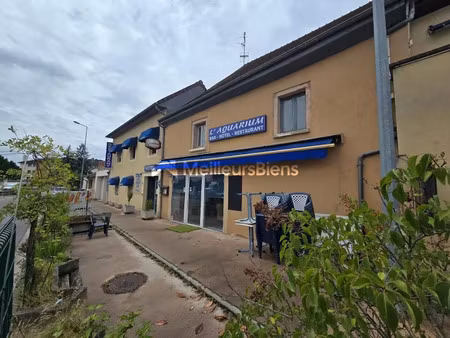 vente immeuble 17 pièces 473 m² à auxonne (21130)  380 000 €