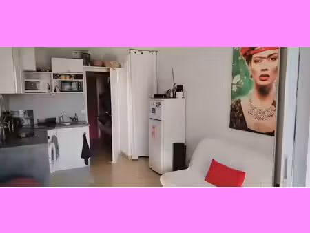 location appartement 1 pièce 26 m² à le grau-du-roi (30240)  590 €