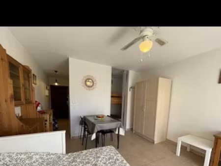 location meublée appartement 1 pièce 27 m² à le lavandou (83980)  550 €